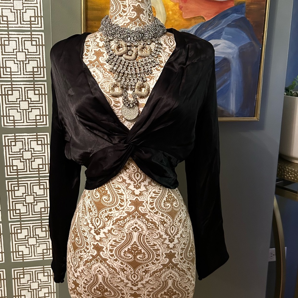 NWT Zara silky crop top blouse